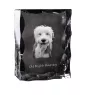Old English Sheepdog - crystal with a picture of a dog, glass statuette with a picture, unique frame with a picture from Art-Dog brand
