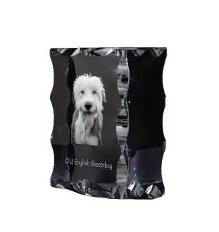 Chien de Berger Anglais - cristal avec photo de chien, statuette en verre avec photo, cadre exceptionnel avec photo de la marque Art-Dog