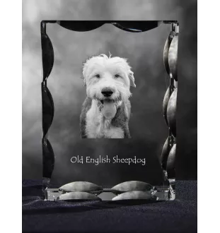 Old English Sheepdog - crystal with a picture of a dog, glass statuette with a picture, unique frame with a picture from Art-Dog brand