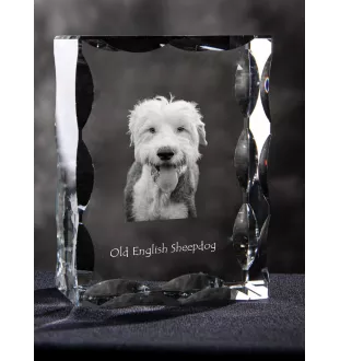 Old English Sheepdog - crystal with a picture of a dog, glass statuette with a picture, unique frame with a picture from Art-Dog brand