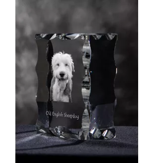 Old English Sheepdog - Kristall mit einem Hundebild, Glasstatuette mit einem Bild, einzigartiger Bilderrahmen der Marke Art-Dog