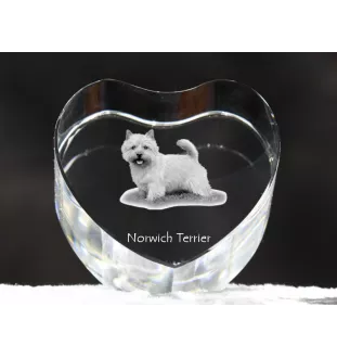 Norwich Terrier - a photo of a dog in crystal, crystal heart, unique photo frame from the Art-Dog brand