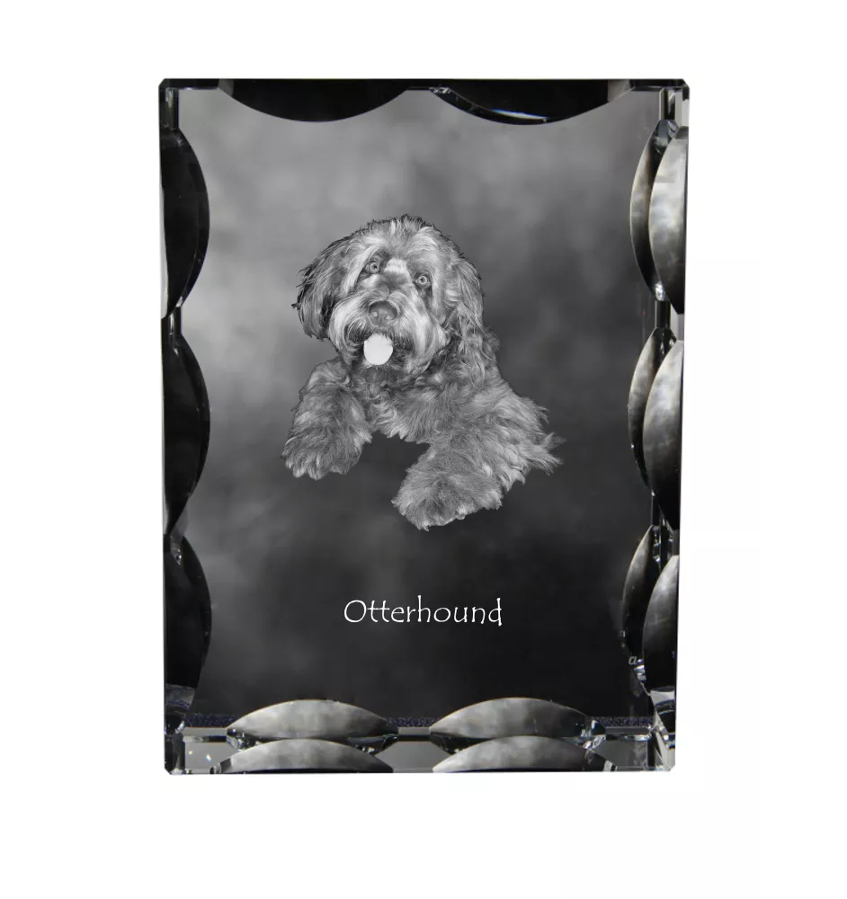 Otterhund, Otterhound - Kristall mit einem Hundebild, Glasstatuette mit einem Bild, einzigartiger Bilderrahmen der Marke Art-Dog