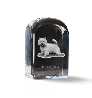 Norwich Terrier - Kristallwürfel mit Bild, Hundebild im Kristall, sechseckiger Papierclip von Art-Dog.