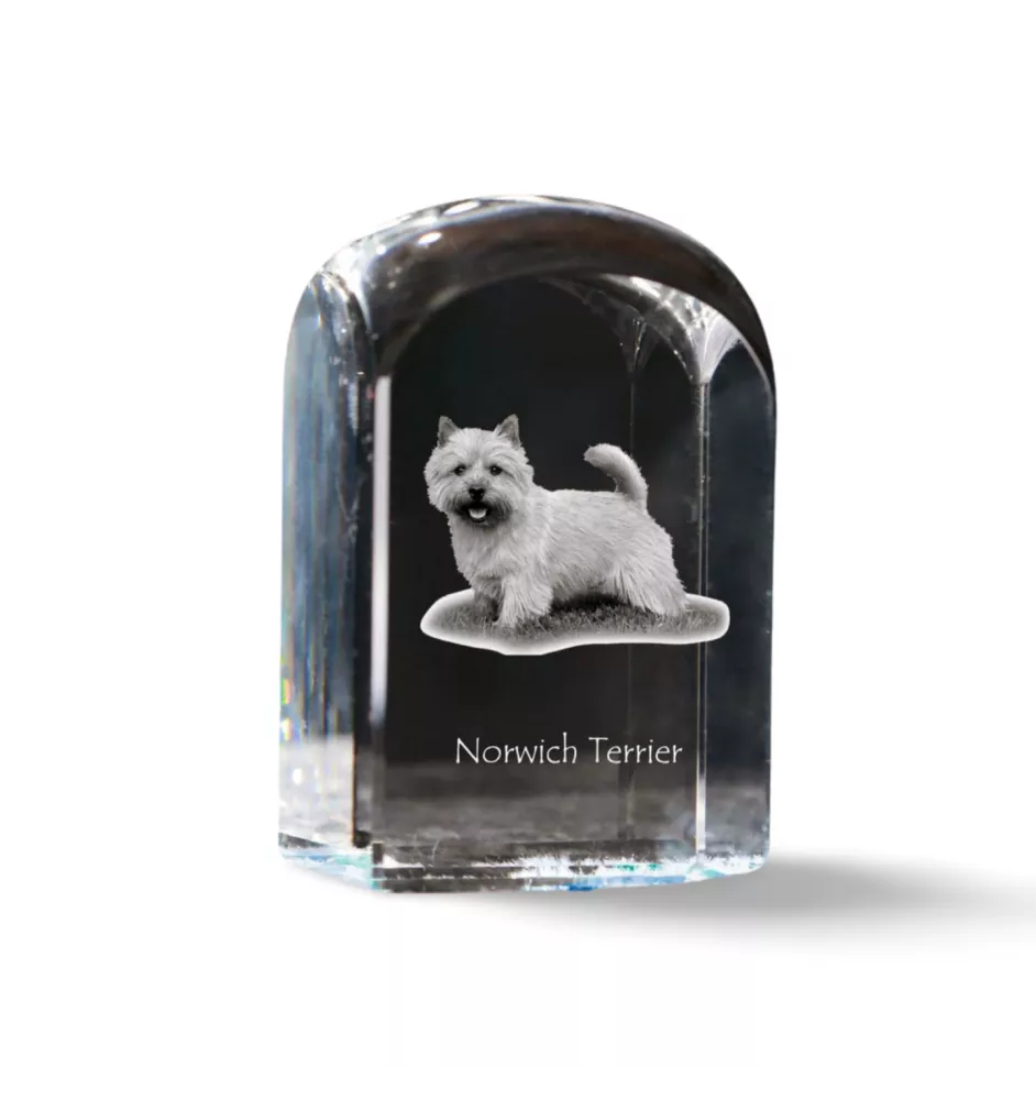 Norwich Terrier - Kristallwürfel mit Bild, Hundebild im Kristall, sechseckiger Papierclip von Art-Dog.