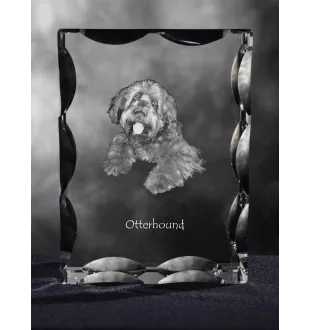 Otterhund, Otterhound - Kristall mit einem Hundebild, Glasstatuette mit einem Bild, einzigartiger Bilderrahmen der Marke Art-Dog