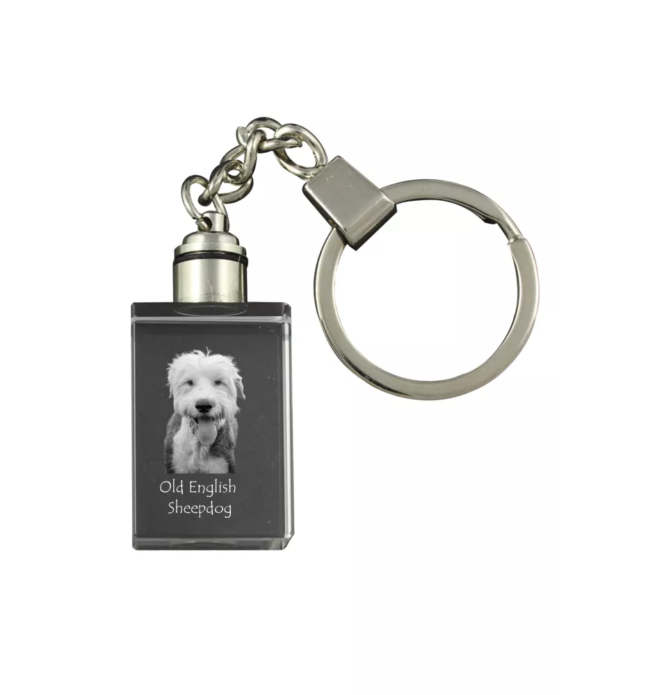 Old English Sheepdog - Schlüsselanhänger aus Kristall mit Hundefoto, beleuchteter Schlüsselanhänger, einzigartiges Geschenk der Marke Art-Dog