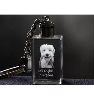 Old English Sheepdog - Schlüsselanhänger aus Kristall mit Hundefoto, beleuchteter Schlüsselanhänger, einzigartiges Geschenk der Marke Art-Dog