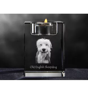Owczarek staroangielski świecznik kryształowy z psem Art-Dog