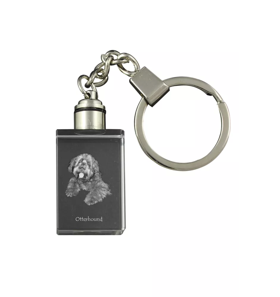 Chien à loutre, Otterhound - Porte-clés en cristal avec photo de chien, porte-clés lumineux, cadeau unique de la marque Art-Dog