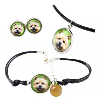Norwich Terrier - a set of jewelry in a box, necklace, earrings, bracelet, products from the Art-Dog brand
