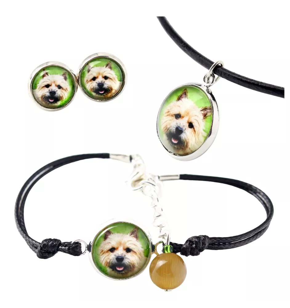 Norwich Terrier - a set of jewelry in a box, necklace, earrings, bracelet, products from the Art-Dog brand