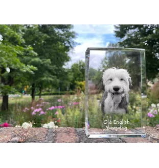 Old English Sheepdog - crystal with a picture of a dog, photo in glass, modern exhibition of Art-Dog brand photo