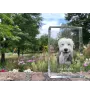 Old English Sheepdog - Kristall mit einem Hundebild, Bild im Glas, moderne Ausstellung des Art-Dog-Bildes.