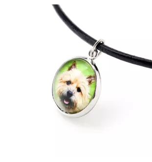 Norwich Terrier - jewelry with your photo box, set of necklace and earrings, personalized products from the Art-Dog brand