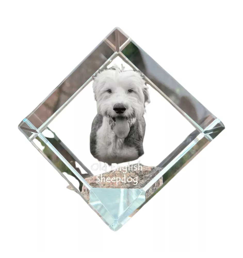 Chien de Berger Anglais - un cube de cristal avec une photo, une photo de cheval dans le cristal, un presse-papiers cubique de la marque Art-Dog