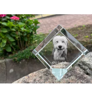 Chien de Berger Anglais - un cube de cristal avec une photo, une photo de cheval dans le cristal, un presse-papiers cubique de la marque Art-Dog
