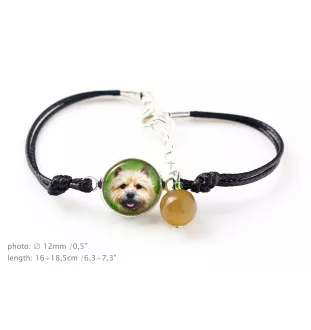Norwich Terrier, Terrier de Norwich - ensemble de bijoux avec votre photo, ensemble fait à la main, bracelet et collier de la marque Art.-Dog