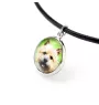 Norwich Terrier, Terrier de Norwich - ensemble de bijoux avec votre photo, ensemble fait à la main, bracelet et collier de la marque Art.-Dog