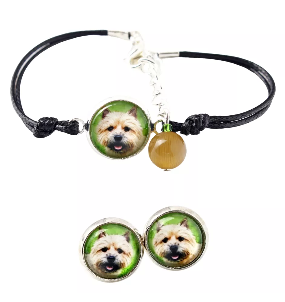 Norwich Terrier, Terrier de Norwich - ensemble de bijoux avec votre photo, accessoire féminin, article fait main, produit fabriqué à la main avec passion pour la création de la marque Art-Dog