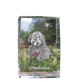 Otterhund, Otterhound - Kristall mit einem Hundebild, Bild im Glas, moderne Ausstellung des Art-Dog-Bildes.