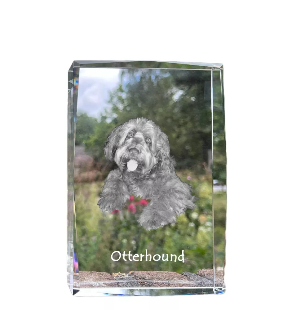 Otterhound - crystal with a picture of a dog, photo in glass, modern exhibition of Art-Dog brand photo