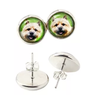 Norwich Terrier kolczyki w pudełku ze zdjęciem Art-Dog