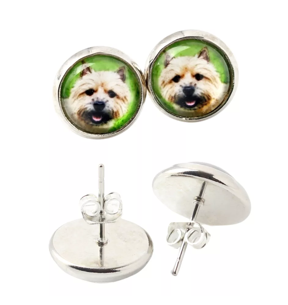 Norwich Terrier kolczyki w pudełku ze zdjęciem Art-Dog