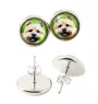 Norwich Terrier, Terrier de Norwich - boucles d'oreilles dans une boîte, votre photo, bijoux faits à la main, produit de la marque Art-Dog.
