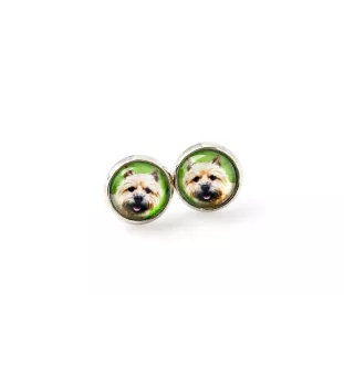 Norwich Terrier - earrings in a box, your photo, handmade jewelry, a product of the Art-Dog brand