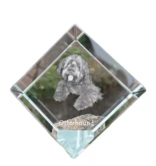 Otterhound - crystal cube with a photo, photo of a horse in crystal, cubic paperweight from Art-Dog brand