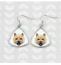 Norwich Terrier, Terrier de Norwich - boucles d'oreilles avec une photo et un motif de chien géométrique Art-Dog