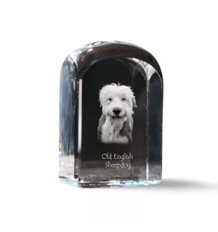 Chien de Berger Anglais - un cube de cristal avec une photo, une photo de chien dans le cristal, un presse-papiers cubique de la marque Art-Dog