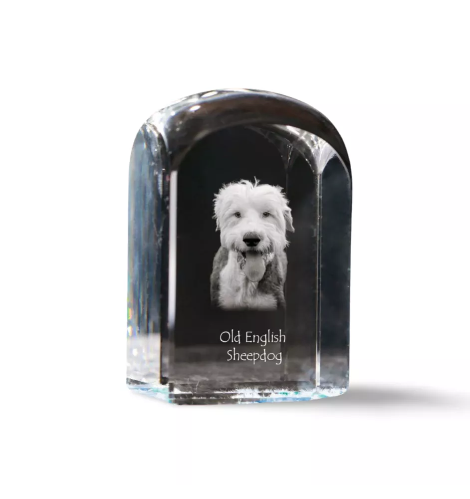 Chien de Berger Anglais - un cube de cristal avec une photo, une photo de chien dans le cristal, un presse-papiers cubique de la marque Art-Dog