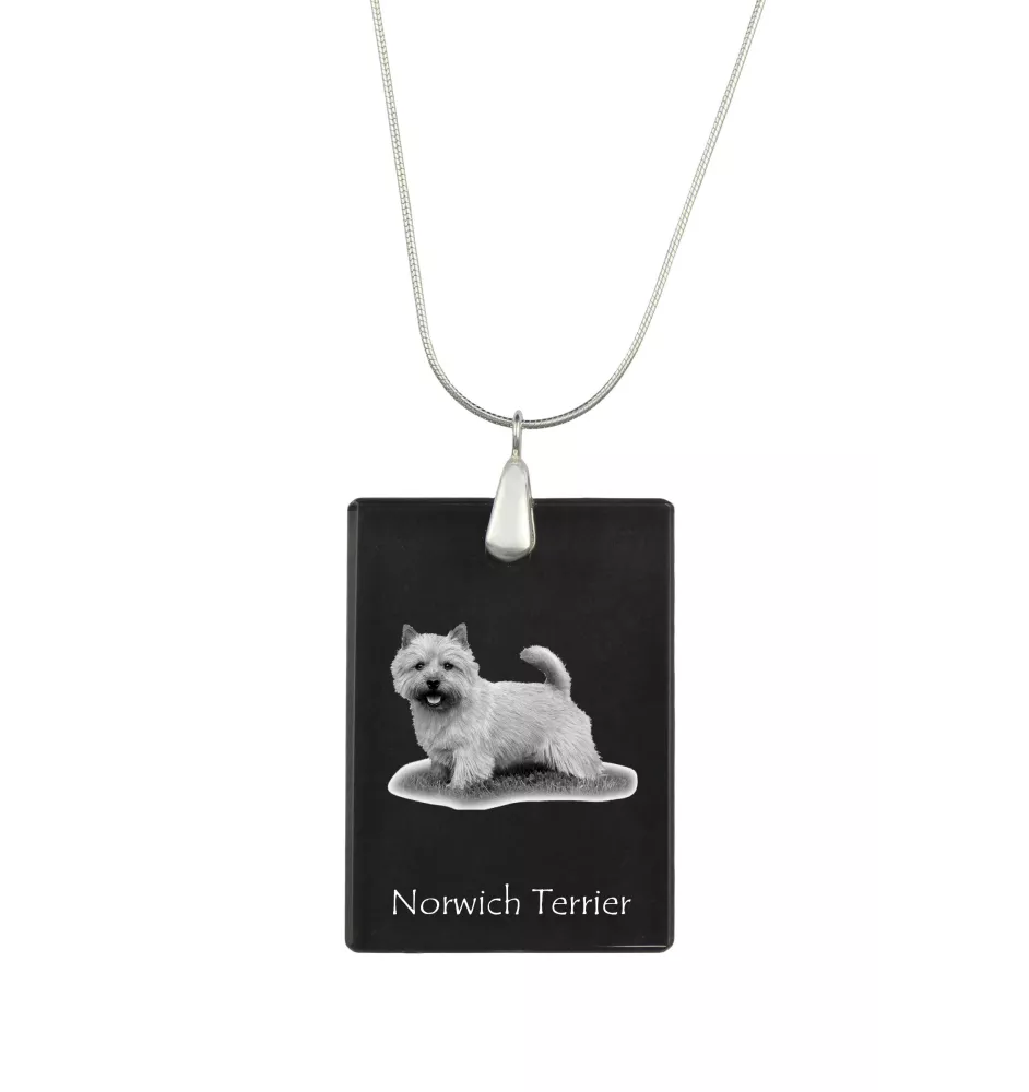 Norwich Terrier - Crystal pendant with dog, silver necklace with photo, personalised pendant by Art-Dog brand