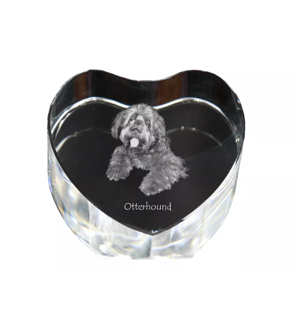 Chien à loutre, Otterhound - une photo de chien dans un cristal, un cœur en cristal, un cadre photo exceptionnel de la marque Art-Dog