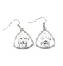 Old English Sheepdog - dog earrings, hanging earrings with a picture, personalized jewelry with Art-Dog brand print