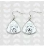 Old English Sheepdog - dog earrings, hanging earrings with a picture, personalized jewelry with Art-Dog brand print