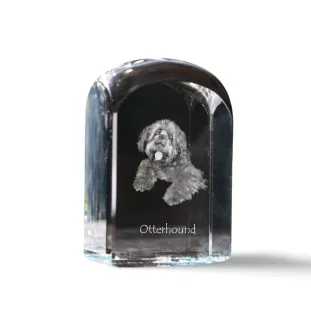 Otterhound - crystal cube with a photo, photo of a dog in crystal, cubic paperweight from Art-Dog brand