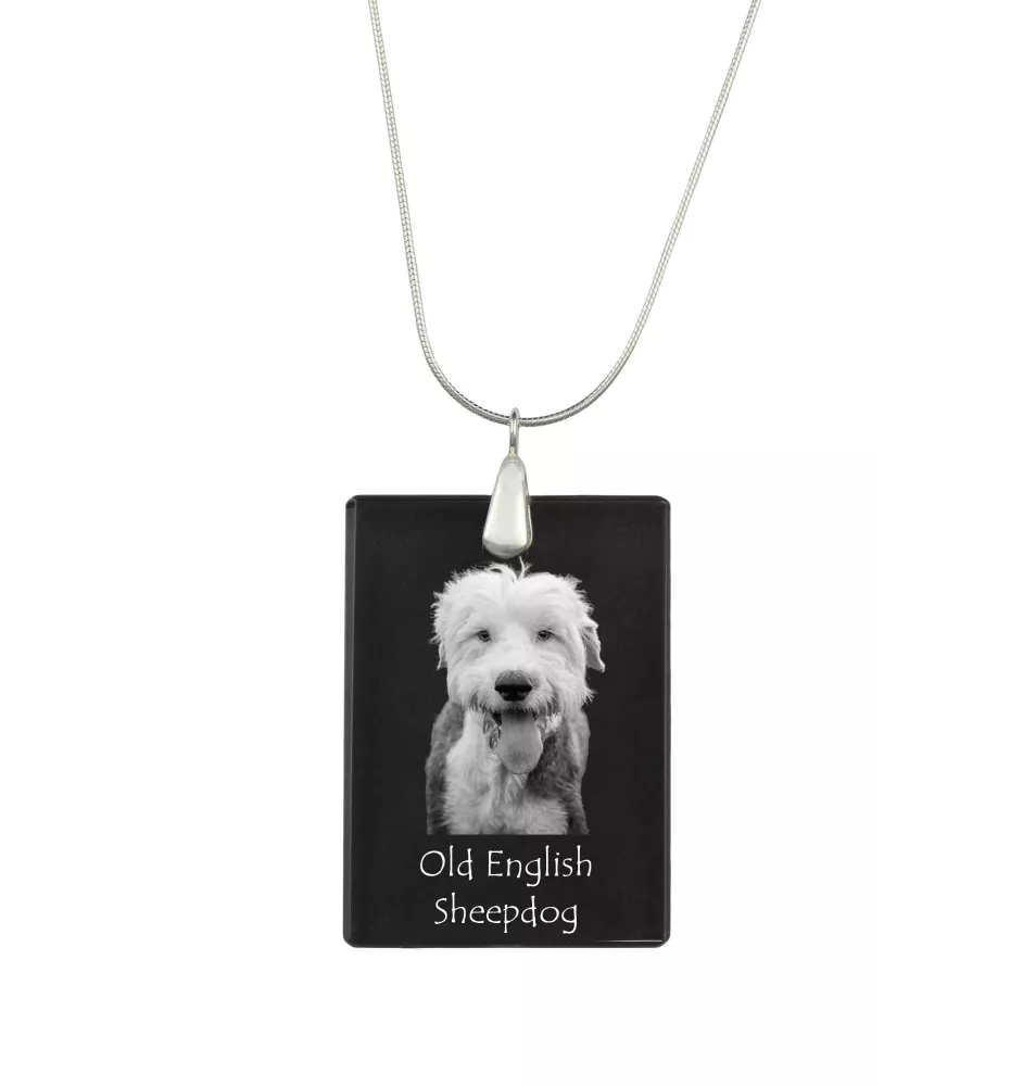 Old English Sheepdog - Kristallanhänger mit Hund, Silberhalskette mit Foto, personalisierter Anhänger der Marke Art-Dog