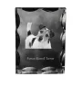 Parson Russell Terrier - crystal with a picture of a dog, glass statuette with a picture, unique frame with a picture from Art-Dog brand