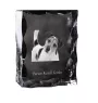 Parson Russell Terrier - Kristall mit einem Hundebild, Glasstatuette mit einem Bild, einzigartiger Bilderrahmen der Marke Art-Dog