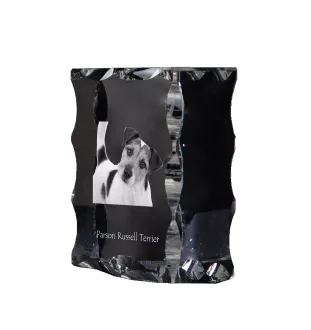 Parson Russell Terrier - crystal with a picture of a dog, glass statuette with a picture, unique frame with a picture from Art-Dog brand