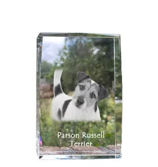Parson Russell Terrier - crystal with a picture of a dog, photo in glass, modern exhibition of Art-Dog brand photo