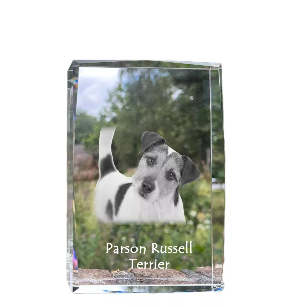 Parson Russell Terrier - Kristall mit einem Hundebild, Bild im Glas, moderne Ausstellung des Art-Dog-Bildes.