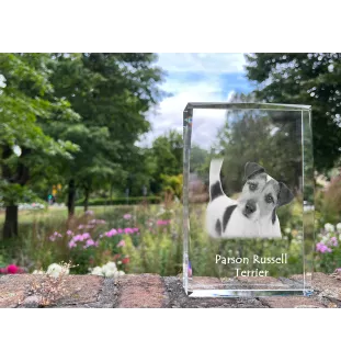 Parson Russell Terrier - Kristall mit einem Hundebild, Bild im Glas, moderne Ausstellung des Art-Dog-Bildes.