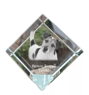 Parson Russell Terrier - crystal cube with a photo, photo of a horse in crystal, cubic paperweight from Art-Dog brand
