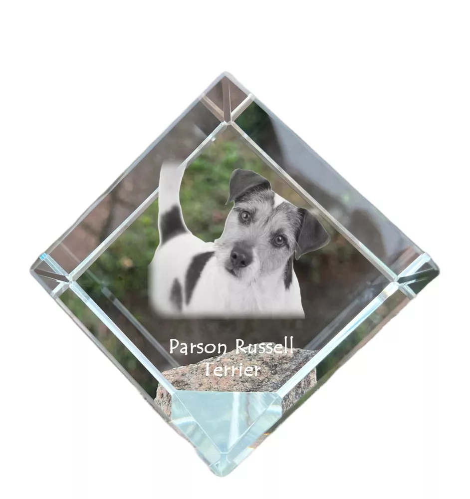 Parson Russell Terrier - Kristallwürfel mit Bild, Pferdebild im Kristall, sechseckiger Papierclip der Marke Art-Dog