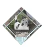 Parson Russell Terrier - crystal cube with a photo, photo of a horse in crystal, cubic paperweight from Art-Dog brand