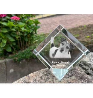 Parson Russell Terrier - crystal cube with a photo, photo of a horse in crystal, cubic paperweight from Art-Dog brand
